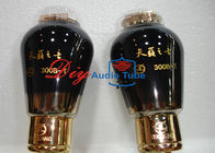 Audio HIF Valve Electronic Vacuum Tube Amplifier Durable Shuguang 300B-T